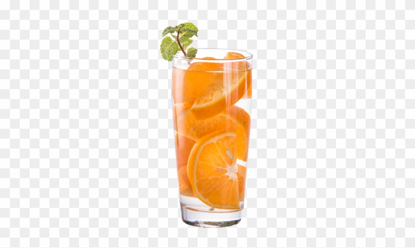 Glass Of Orange Slices - Orange #673167