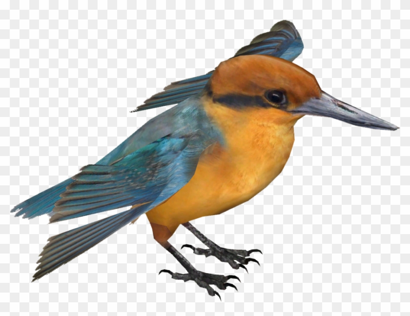 Guam Kingfisher - Guam Kingfisher #673439