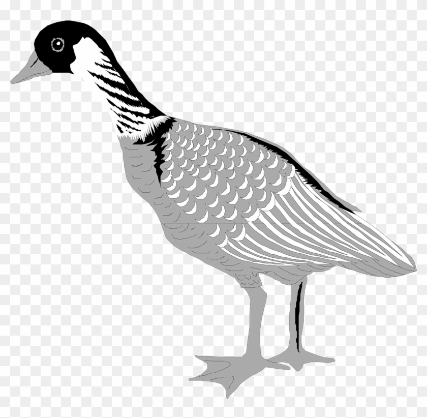 Goose Bird Waterfowl Grey Black Png Image - Goose #673673