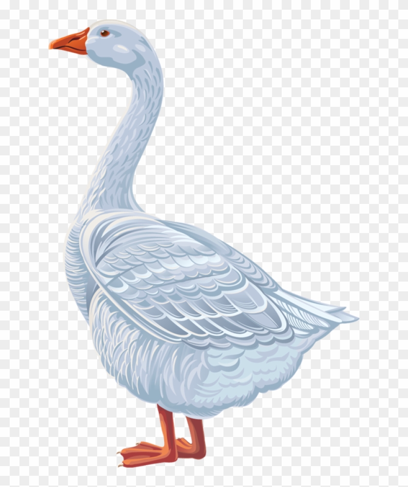 Goose Clipart - Farm #673743