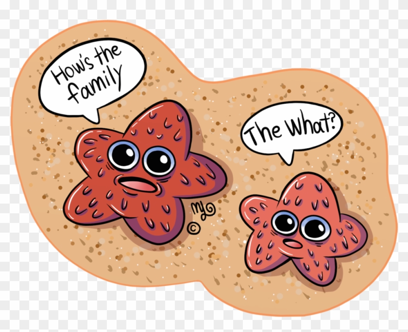 Starfish Jokes By Angry-baby - Starfish Jokes #674056