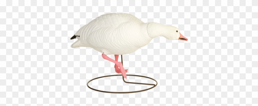 Field Snows Goose Hunting Decoys From Final Approach - Final Approach Last Pass High Definition Snow Goose #674346