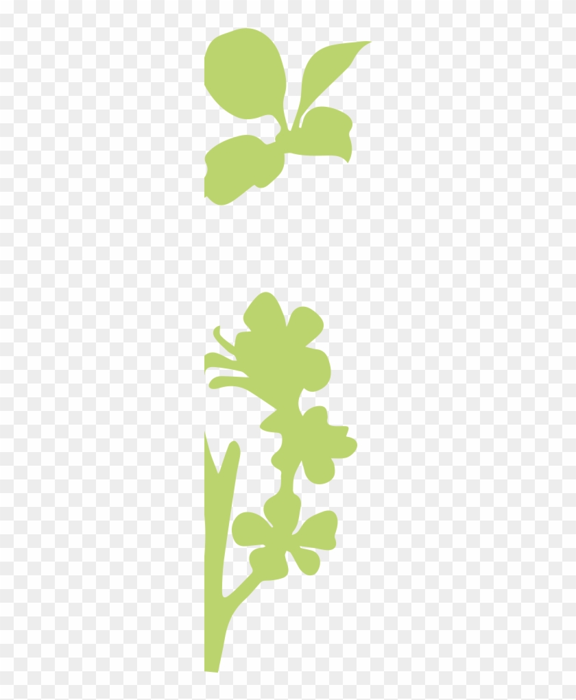 Flower - Flower #675248