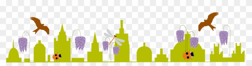 Oxford Festival Of Nature Graphics By By Rachel - Nmature Png #677170