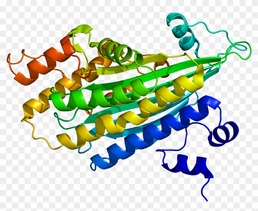 Coproporphyrinogen Iii Oxidase #677617