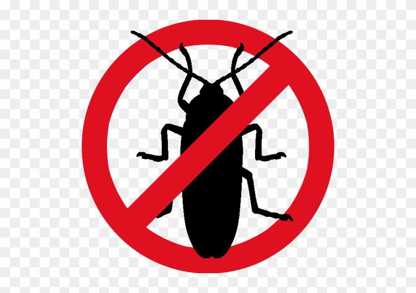 Image Loading - Cockroach Pest Control #677630