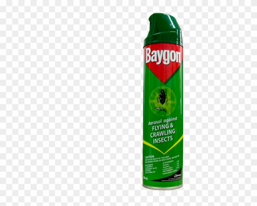 Baygon 300ml #677641