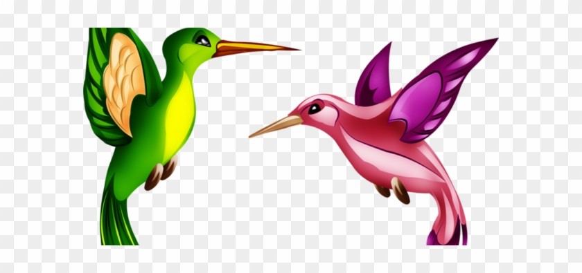 Hummingbird #678529