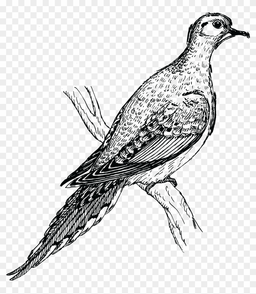 Free Clipart Of A Dove - Free Clipart Of A Dove #679838