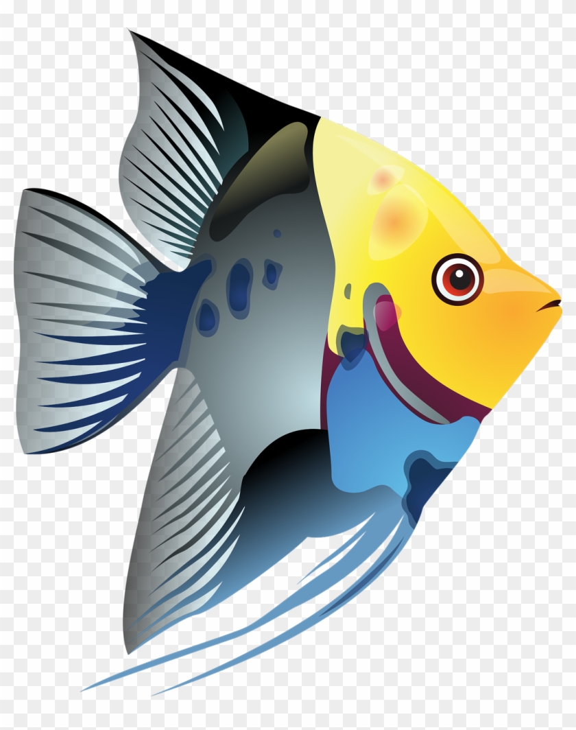 Draw A Simple Fish 10 Step By Step Drawing Lessons, - Clip Art Tropical Fish #124834