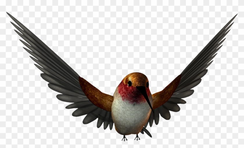 Free High Resolution Clipart - Free Png #125110