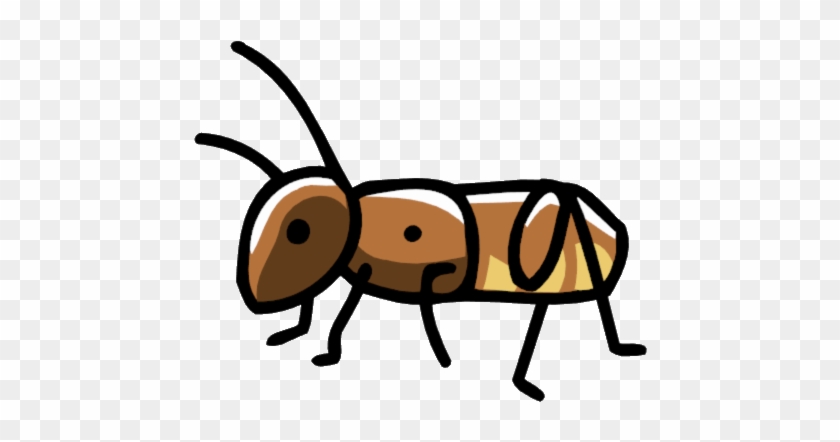 Weta - Wiki #680853