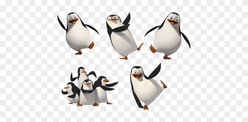 تــآبعــونى متنــسوش تقيــمولى - Penguins Of Madagascar Squad #680974