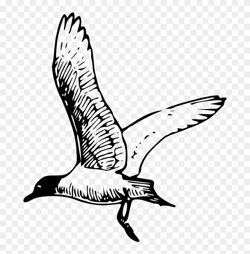 Similar Clip Art - Similar Clip Art #681791