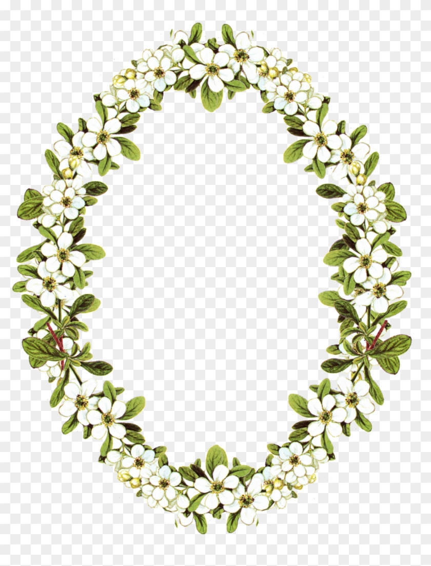 Borders And Frames Flower Picture Frames Clip Art - Oval Flower Frame #683460