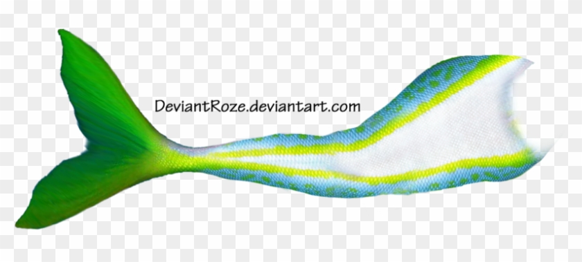 More Like Mermaid Tail 11 By Deviantroze - Photoshop Mermaids Fish Tail #683714