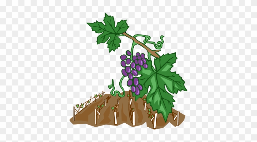 Weinreben Clipart #684678
