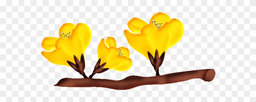 Fleurs23m2 Fleurs23m4 - Hareketli Çiçek Açma #685334