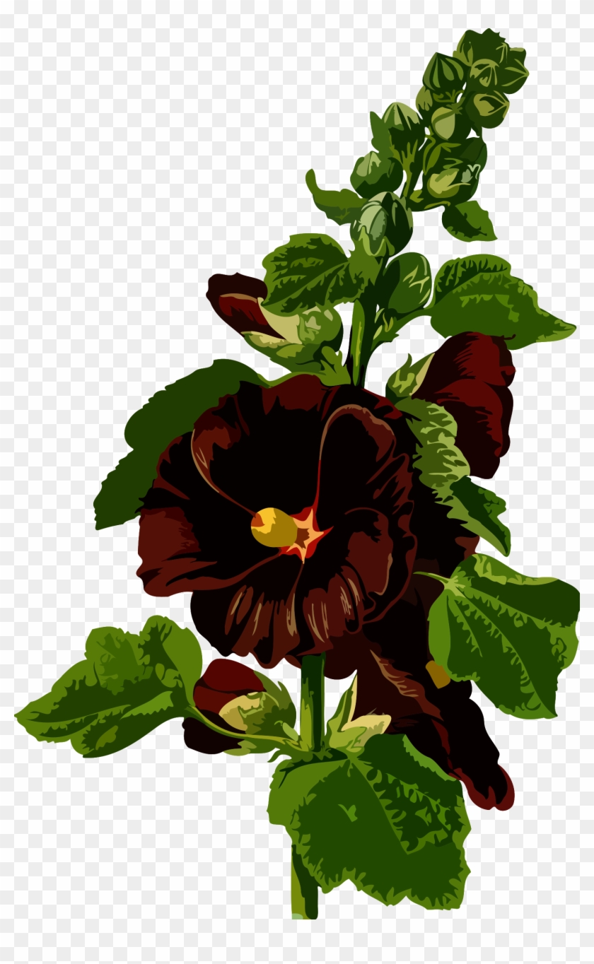 Big Image - Malva Sylvestris #685361