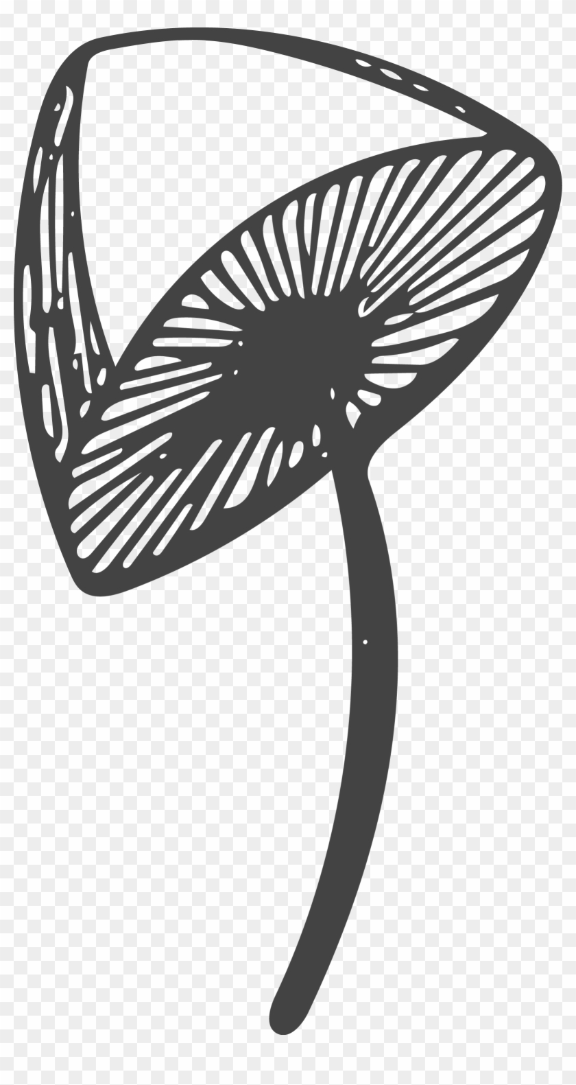 Mushroom Euclidean Vector Computer File - Mushroom Euclidean Vector Computer File #687519