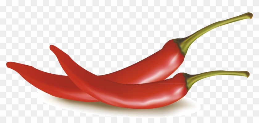 Chili Decorative Design Exquisite Design - Red Chilli Vector Free Download #688182