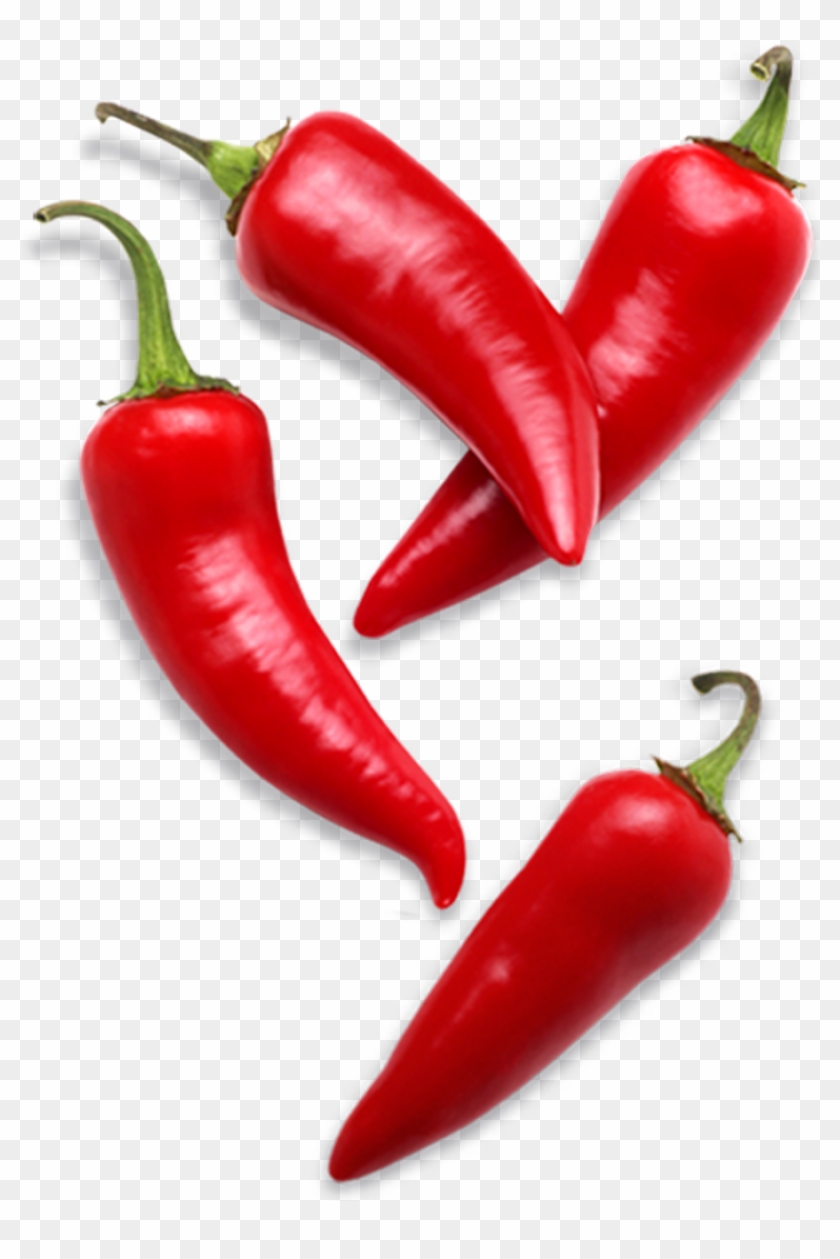 Cayenne Pepper Bell Pepper Capsicum Frutescens Chili - Leadership When The Heat Is On [book] #688848