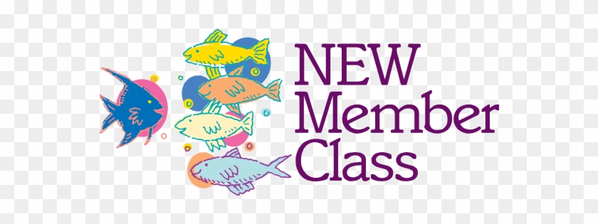 New Member Class - New Member Class Church #689138