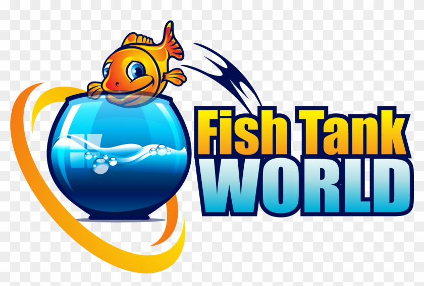 New Website Offers In-depth Information And Reviews - Aquarium #690235