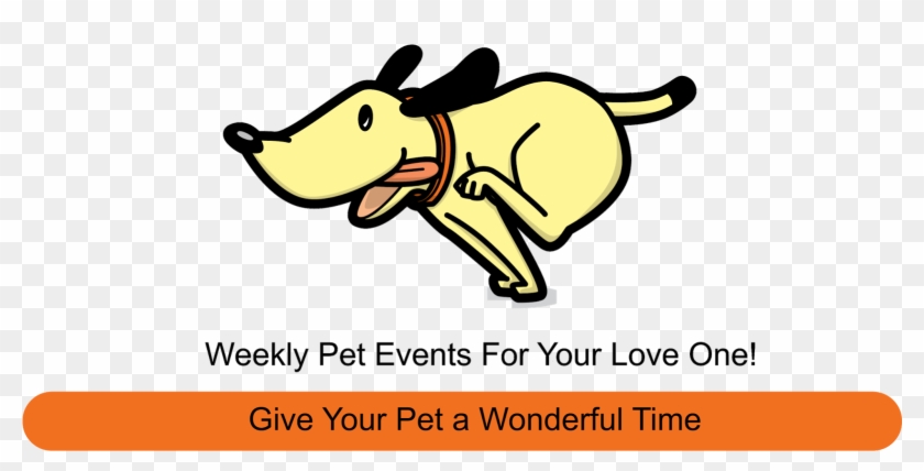 Connect With 5-star Sitters And Dog Walkers Near You - Run Like A Dog #690336