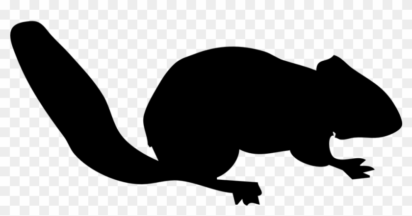 Free Panther Clipart 28, - Chipmunk Silhouette Png #690537