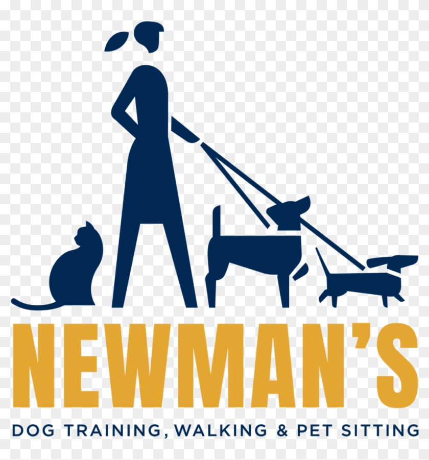   Dog Training #691298