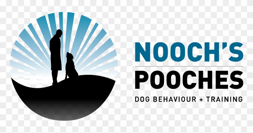   Dog Training #691358