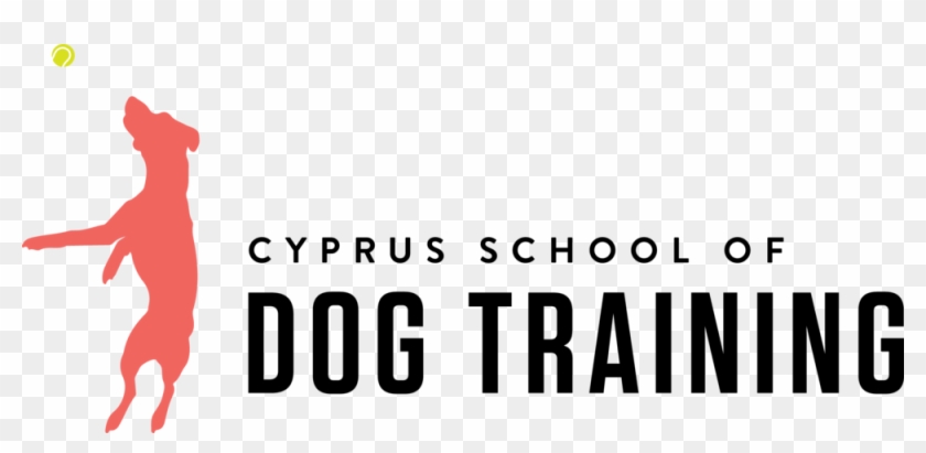 Cyprus School Of Dog Training - Cyprus School Of Dog Training #691508