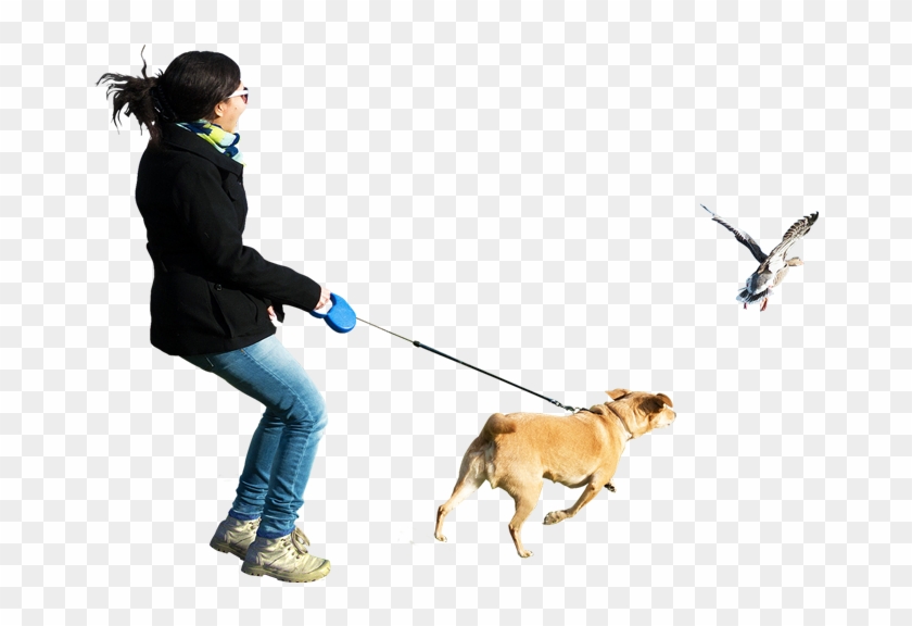   Dog Walking #691897
