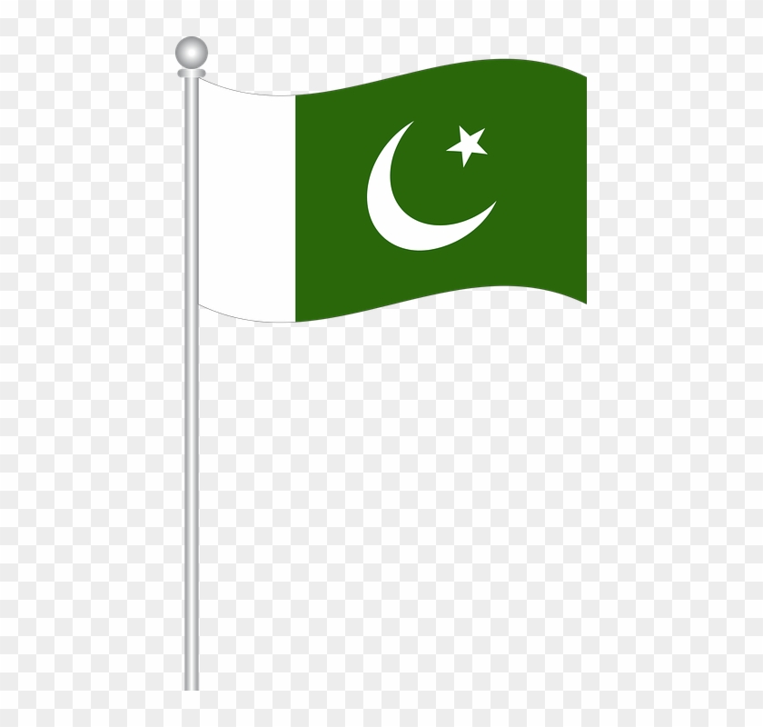 Pakistan Flag Vector Png #694245