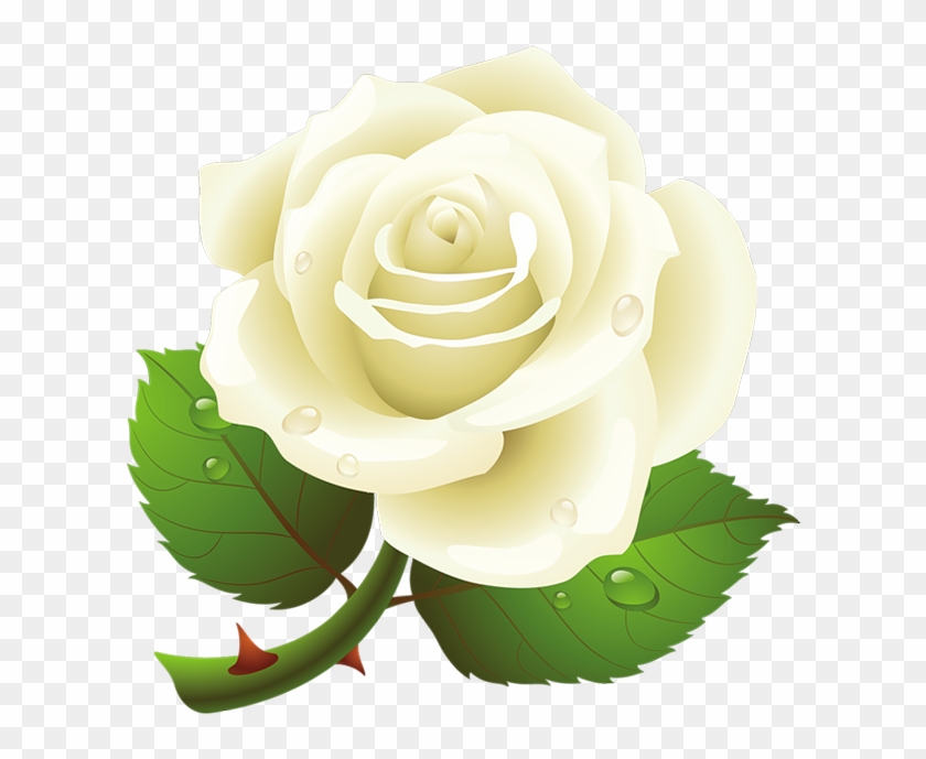 White Rose Clipart Vector - White Roses Clipart Transparent #694782