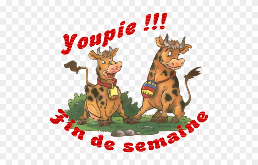 Bon Samedi - Recherche Google - Bon Vendredi Avec Humour #697495