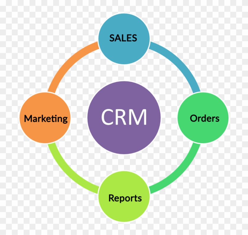 Manage Multinational Sales And Services Organisations - Causes Of Internet Addiction #698389