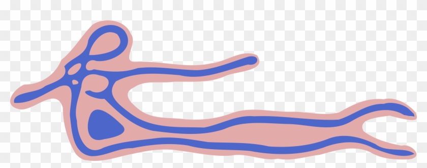 Big Image - Ebola Clipart #698675