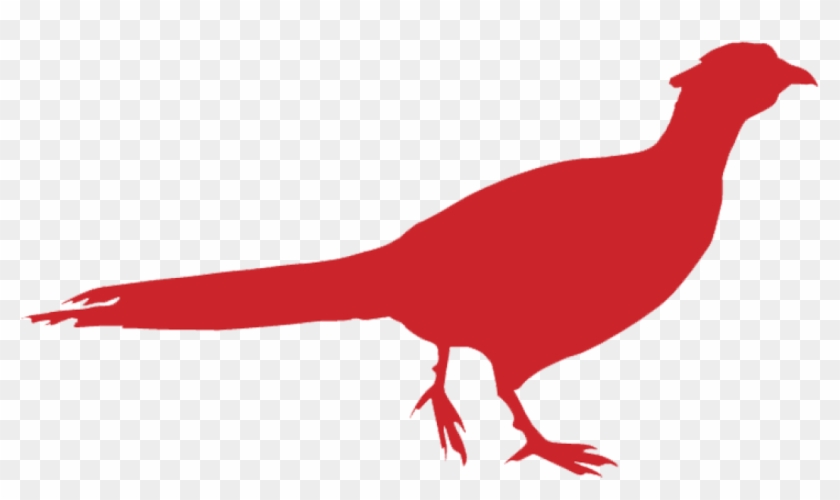 Pm Wildbird Icon - Phasianidae #700445