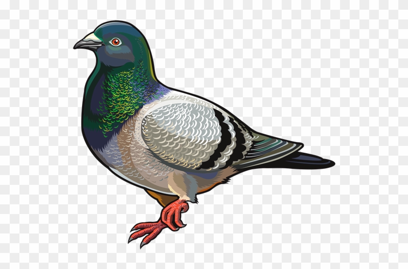 World Wide Words - Destinationvinyl 2 X 10cm/100mm Pigeon Vinyl Sticker #700457