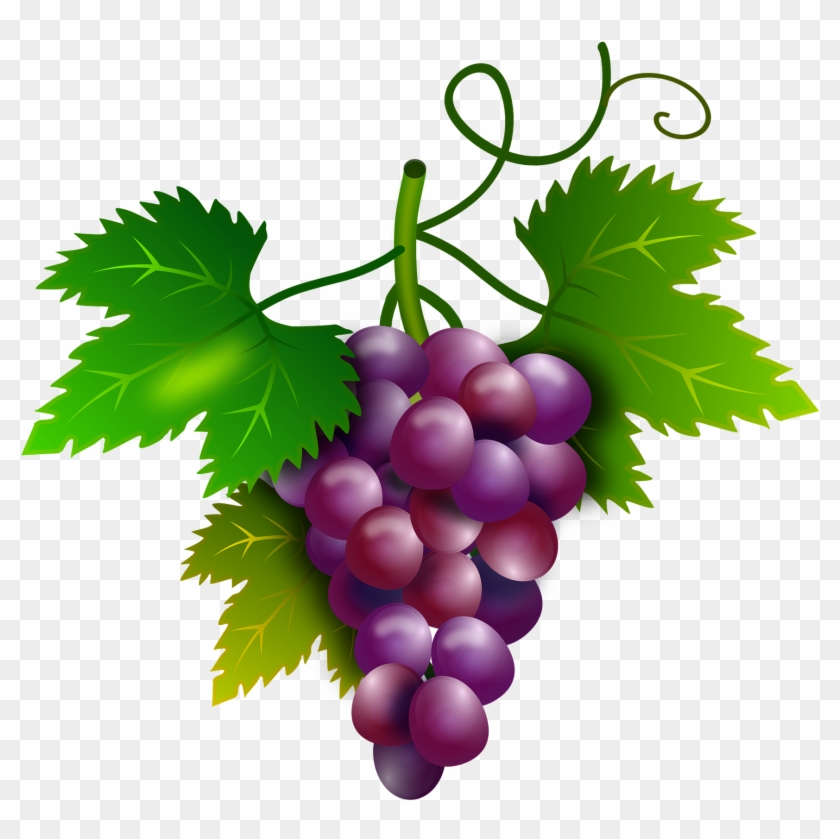 Buy Clip Art - Transparent Grape Painted Images Png #700611