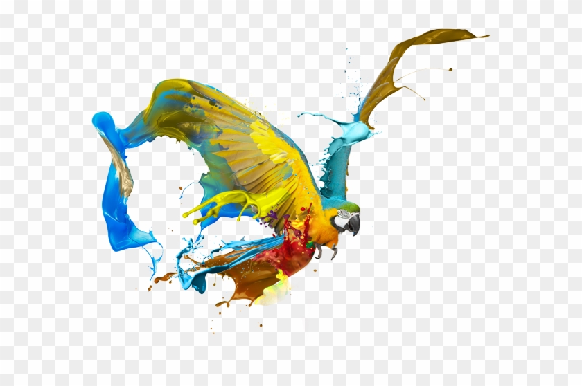 A Wise Man Said ” In Order To Bake The Perfect Cake, - Blue-and-yellow Macaw #700992