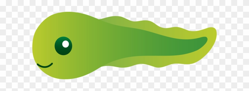 Tadpoles - Tadpole Clipart #701519