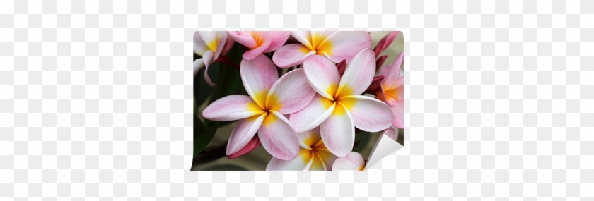 Photography #701557