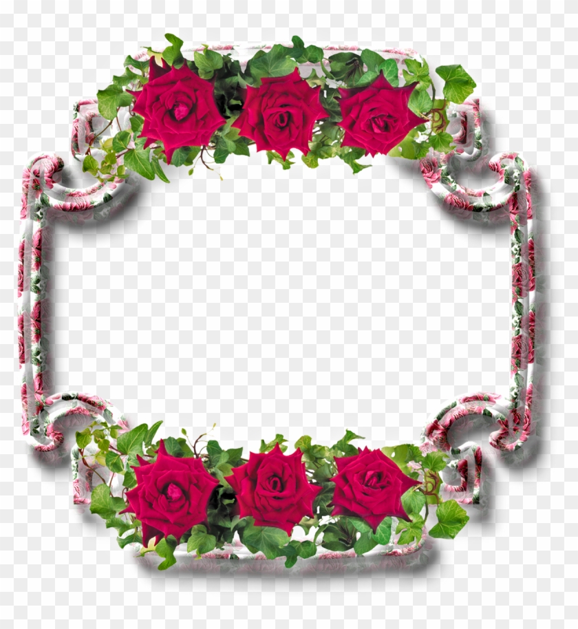 Picture Frames Photography Flower Light - Picture Frames Photography Flower Light #703360