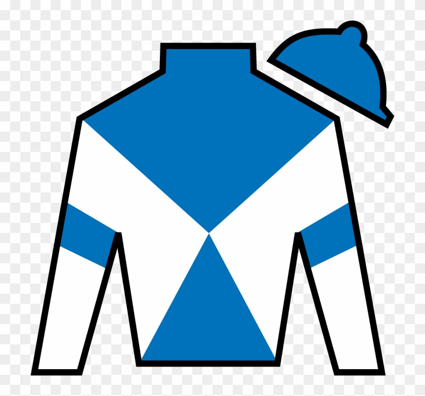 Take Charge Paula Peter Deutsch - China Horse Club Silks #703546