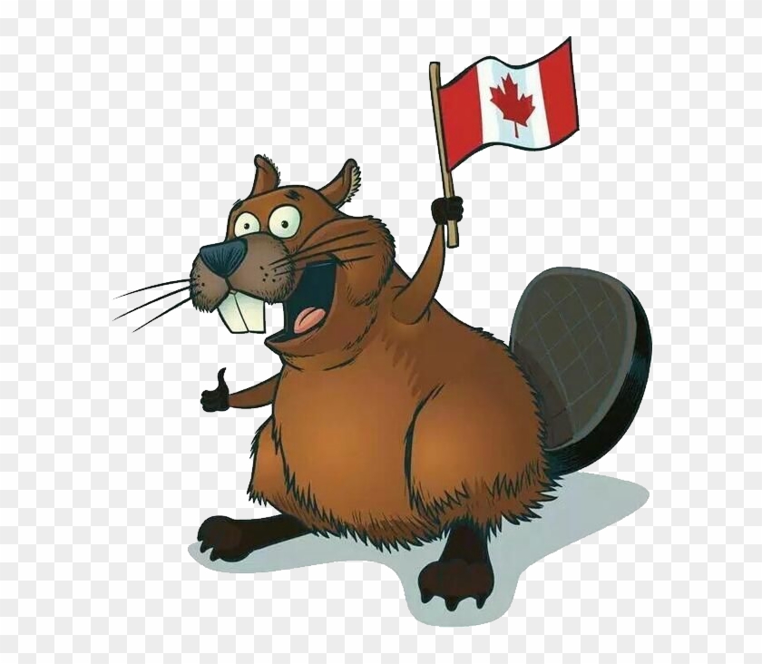 Beaver Clipart Transparent Background - Decal Canadian Beaver Car Window Jet Ski (10 X 9,45 #704291