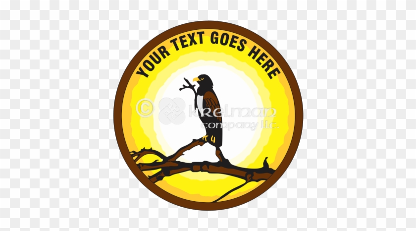 K2203 Hawk Sitting In The Sun - Abogados Gratis #704355