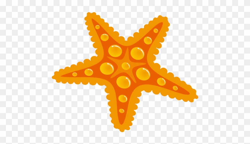 Starfish Drawing Seashell - Amarelo Estrela Do Mar Png Desenho #704914
